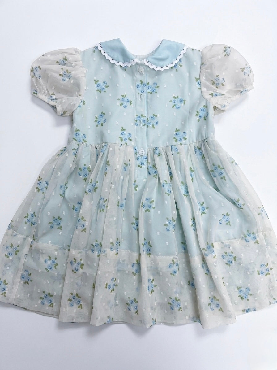 Hand Smocked Jenny’s Mint Chiffon Swiss Dot Rose Dress