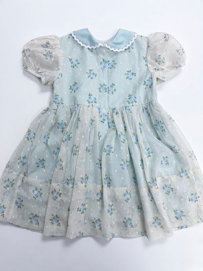 Hand Smocked Jenny’s Mint Chiffon Swiss Dot Rose Dress