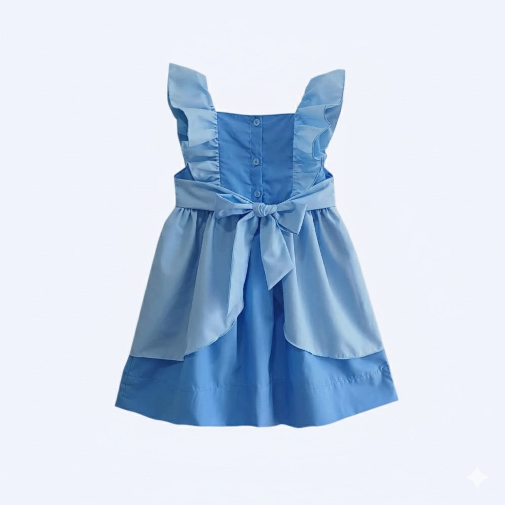 Hand Smocked Cinderella Blue Princess Carriage Dress – A Dream Come True