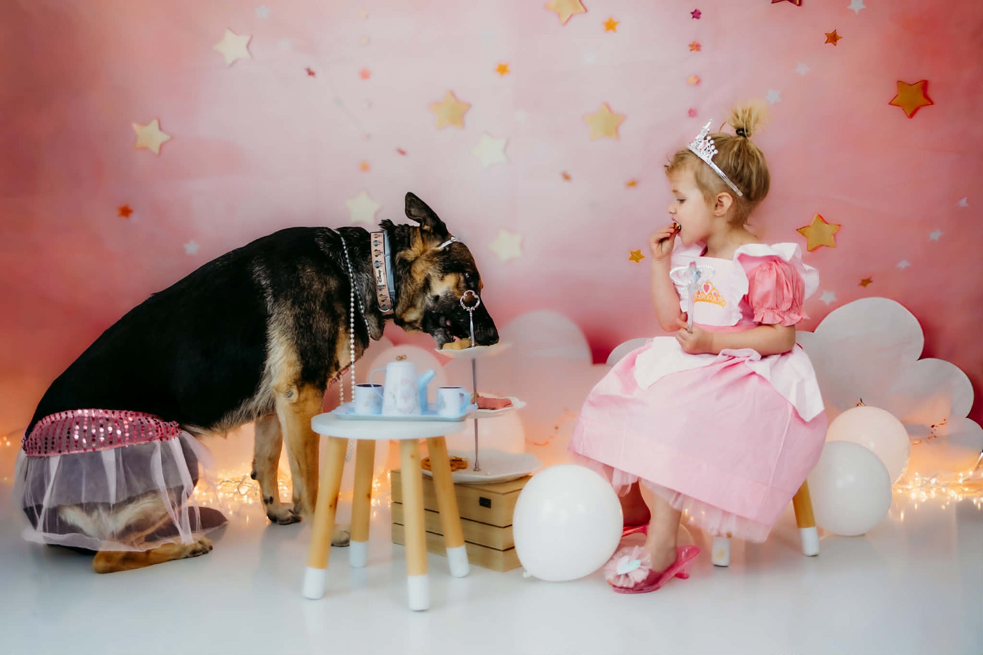 Toddler girl in a smocked pink princess dress having a tea party with a German Shepherd.