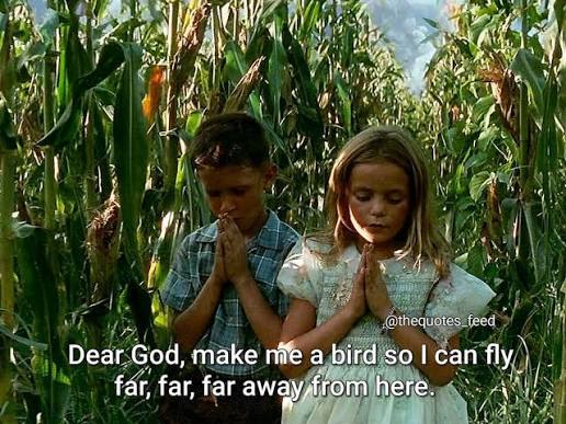 Young girl in a cornfield wearing the hand smocked Jenny mint chiffon Swiss dot rose dress with short puff sleeves.