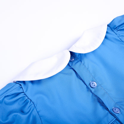 Back detail view of blue storybook dress featuring white Peter Pan collar and matching blue buttons.
